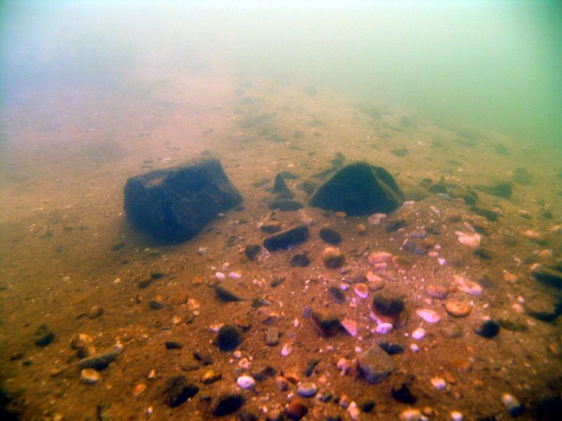07 NL 013.JPG